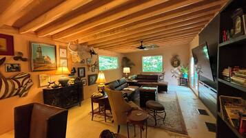 TV connectée, cheminée, livres