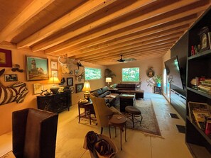 TV connectée, cheminée, livres