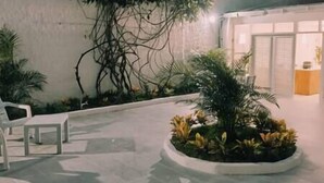 Un espace extérieur bien éclairé, avec un jardinier circulaire contenant diverses plantes, un banc blanc et, au fond, un bâtiment dont la porte est fermée.