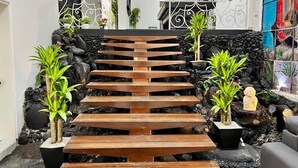 A wooden staircase with a black stone wall backdrop, surrounded by potted plants and a decorative statue.