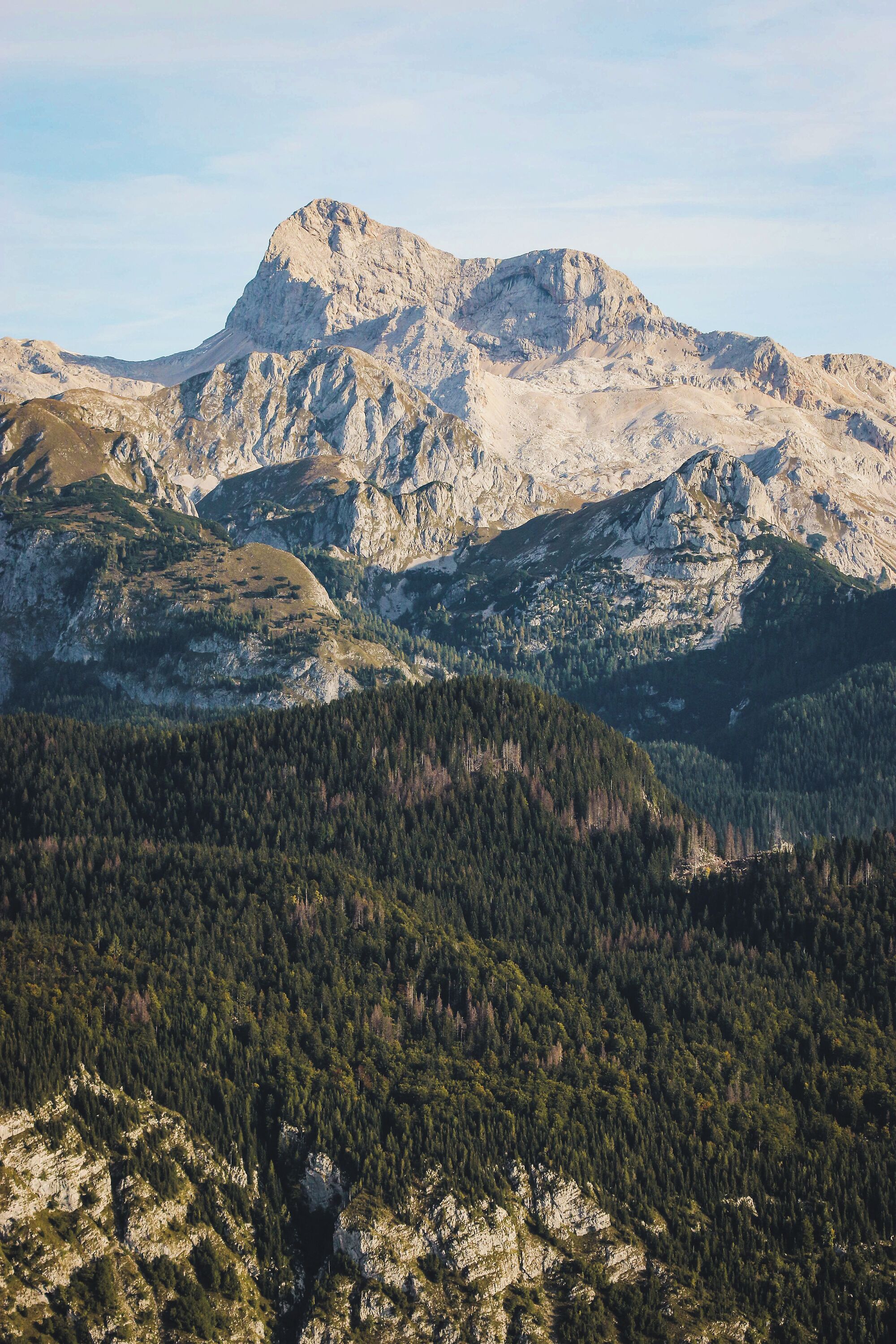 Un paisaje montañoso con terreno rocoso y un bosque denso.