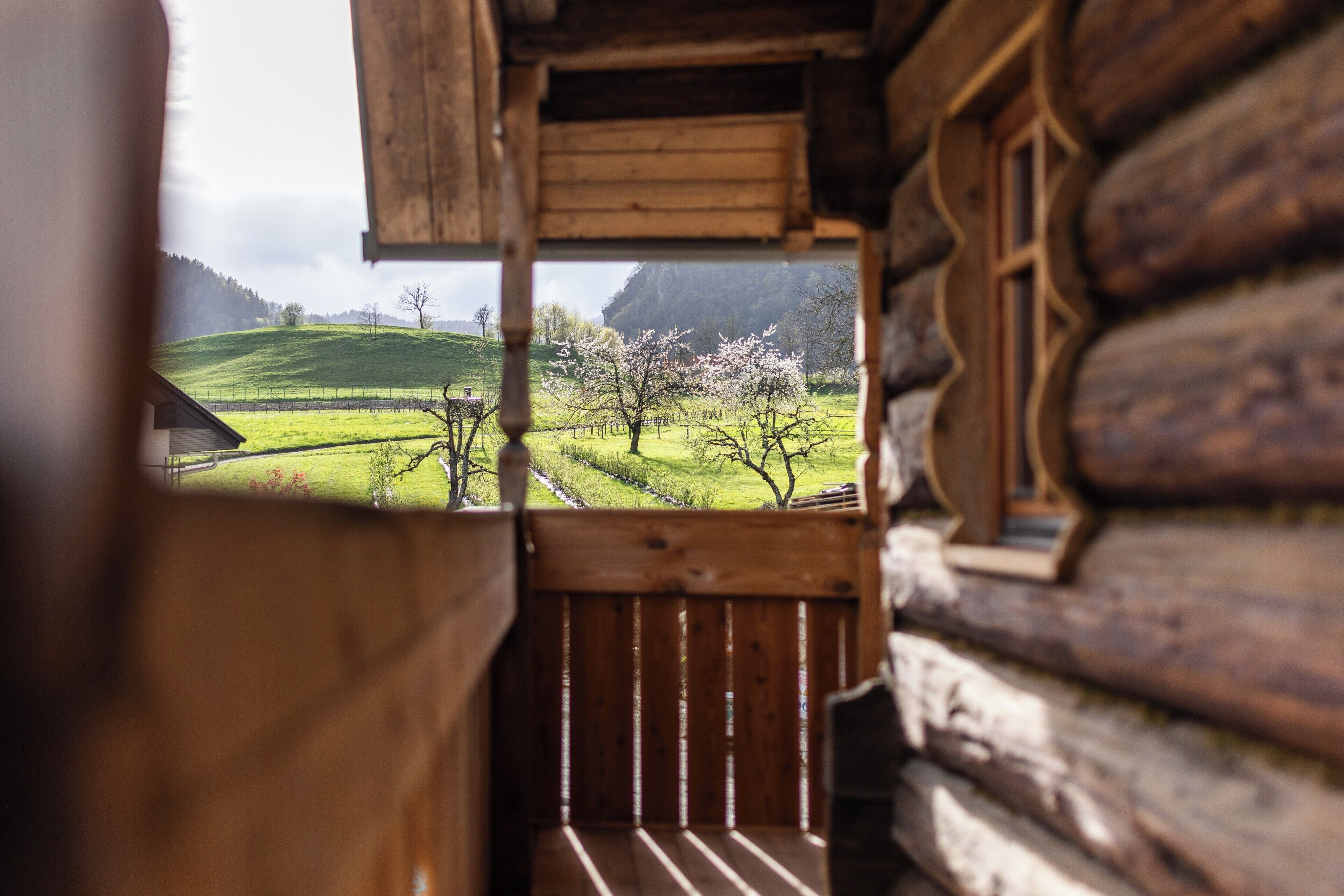 A wooden cabin with a view of a green landscape and trees.