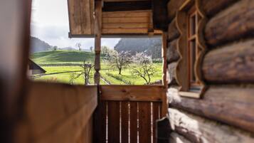 Una cabaña de madera con vistas a un paisaje verde y árboles.