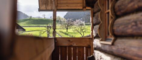 A wooden cabin with a view of a green landscape and trees.