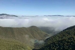 صورة غير مصنفة، 4 من 26، زرّ