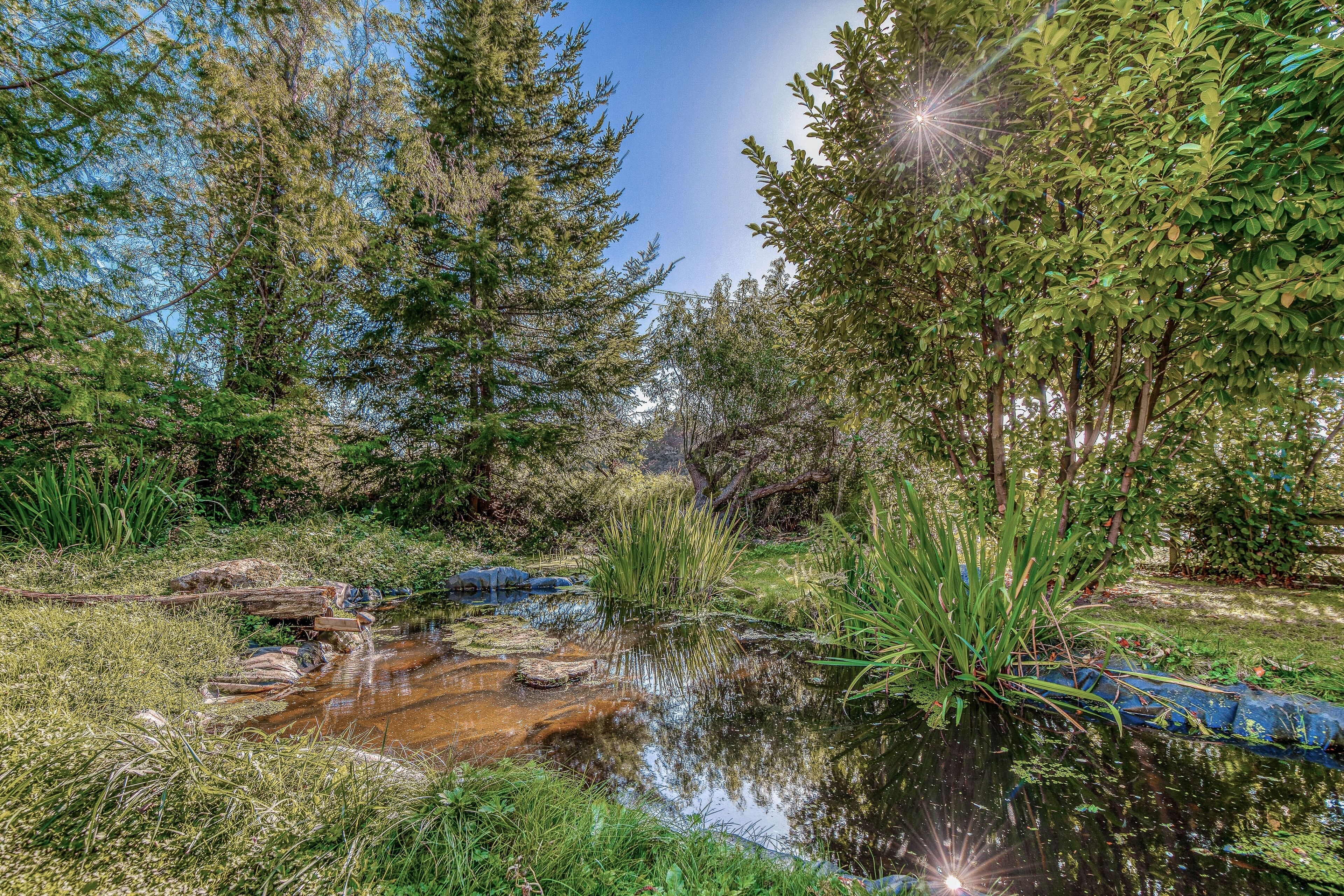 المنطقة المحيطة بالمنشأة