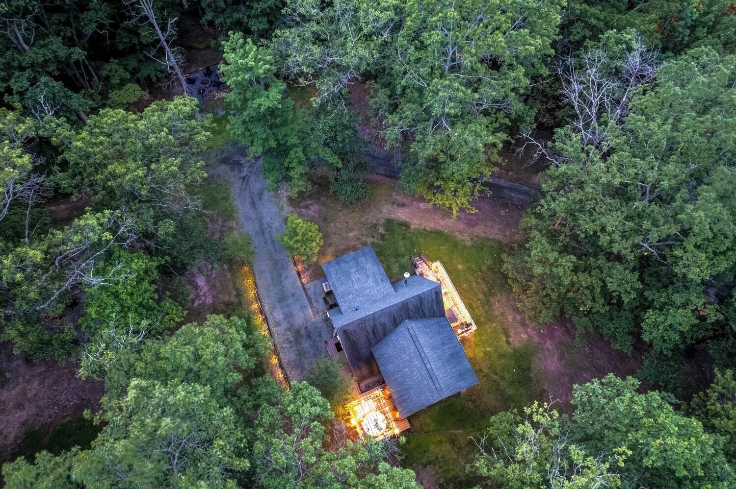 A remote cabin surrounded by dense forest, with a clear path leading to the entrance.