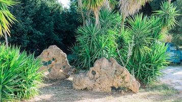Parco della struttura