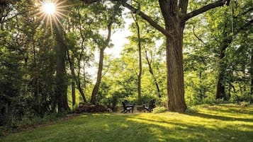 Terrein van de accommodatie