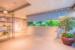 Una habitación con un acuario grande, una planta en maceta y una estantería con libros y objetos decorativos.