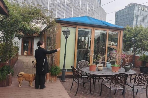 Un área de estar al aire libre con techo, una mesa y sillas, rodeada de plantas en macetas y un perro.