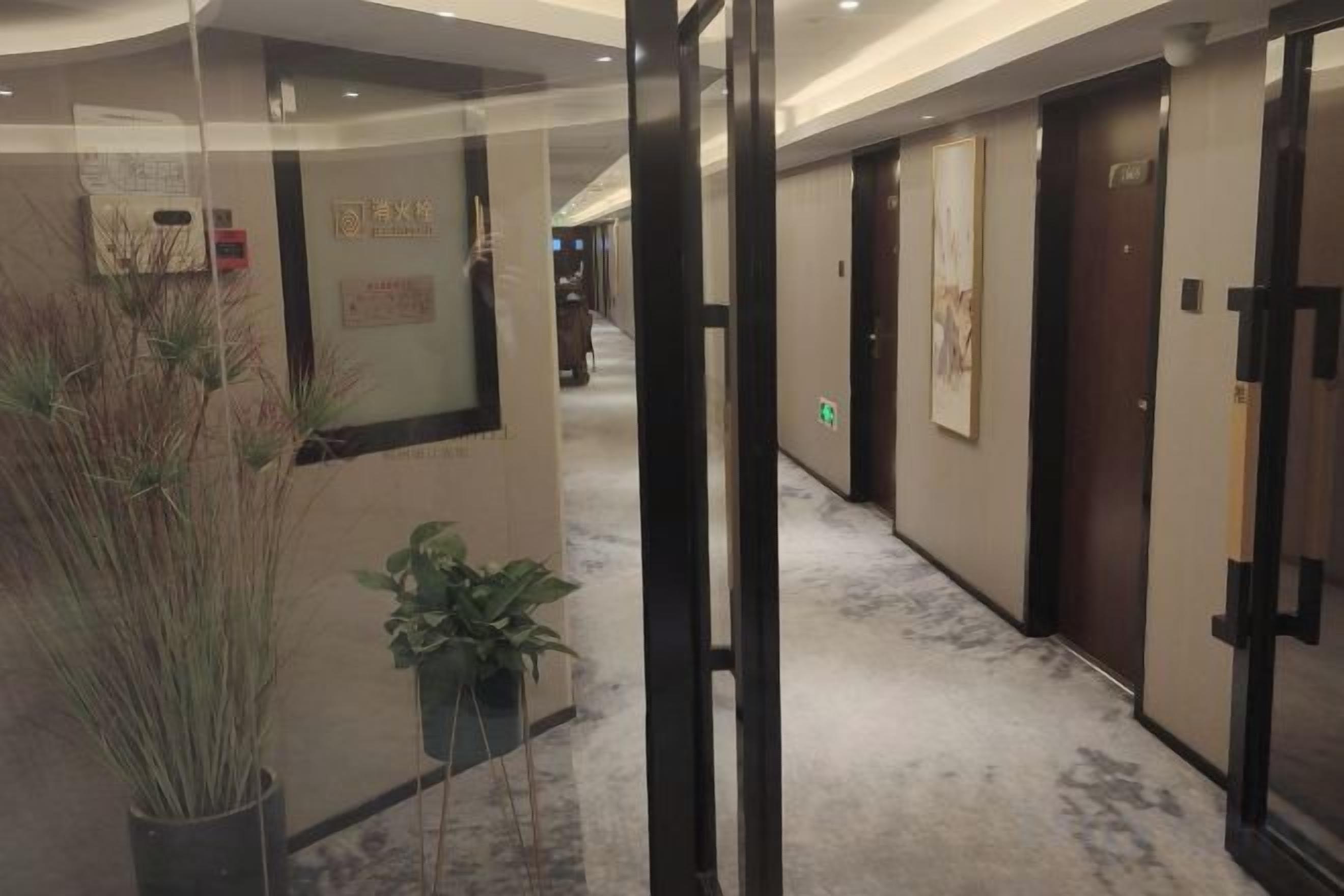 Pasillo de hotel con puertas, una recepción y una planta.
