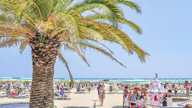 Ein Strand mit Palmen, Liegestühlen und Sonnenschirmen.