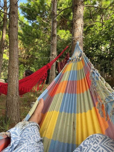 Glamping - Seeds in the Wind Camping Oasis