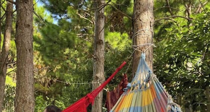 Glamping - Seeds in the Wind Camping Oasis