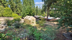 A greenhouse in a garden with surrounding trees and a wooden fence. - Charming 1-bedroom house in lovely Burien with  high speed WiFi,  (Burien)