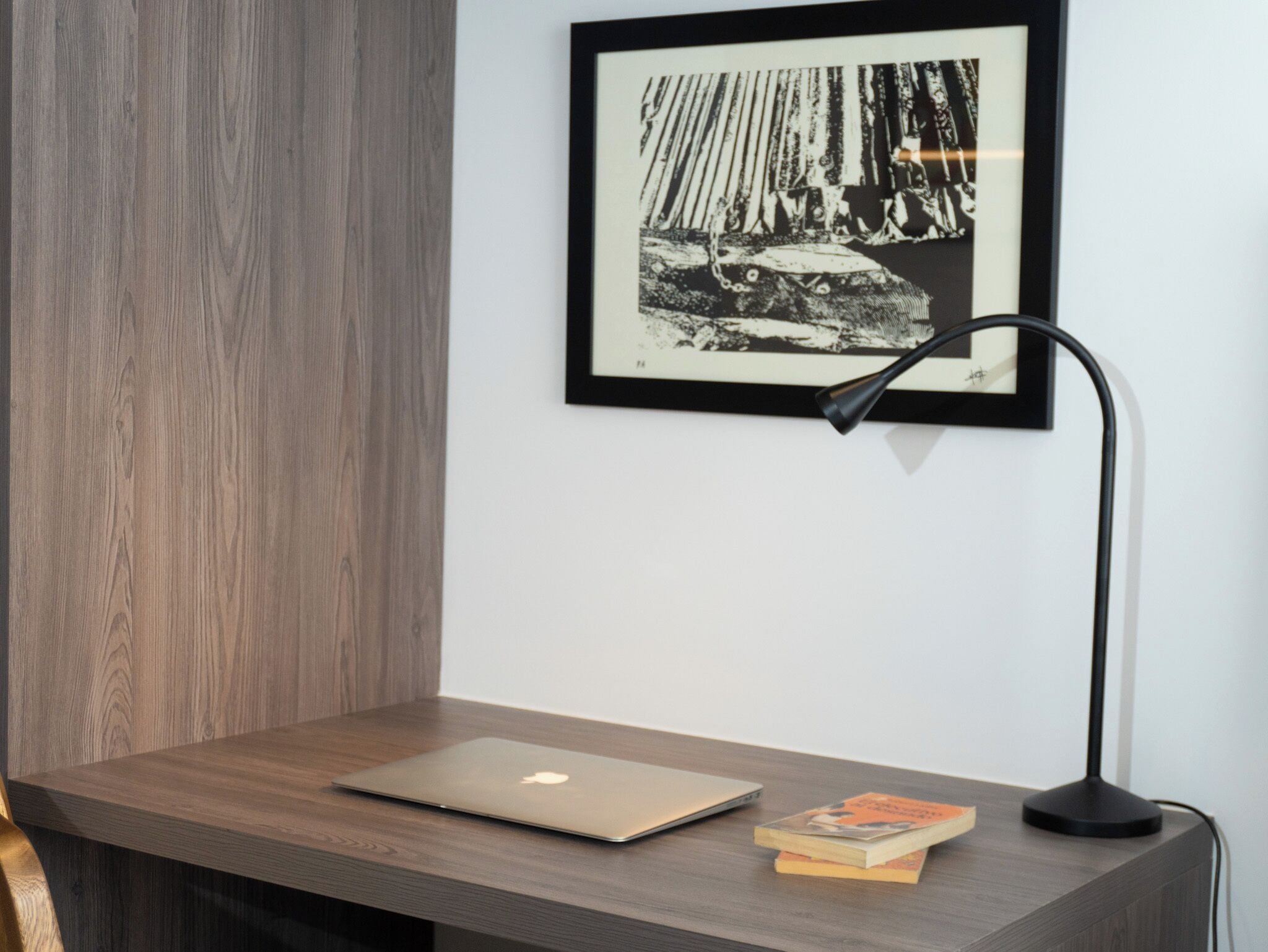 Photo - Art Homes 85