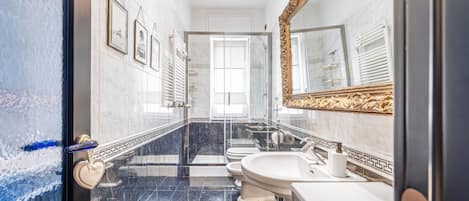 Shower, hair dryer, bidet, towels