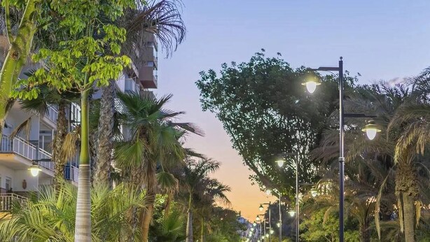 Un camino pavimentado bordeado por palmeras y macizos de flores, que conduce a un edificio con balcones.