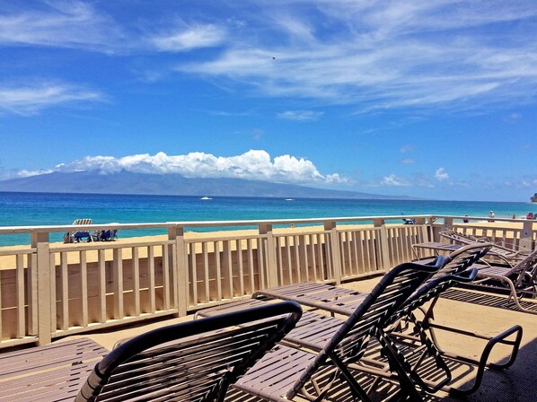 Appartement | 1 chambre, Internet