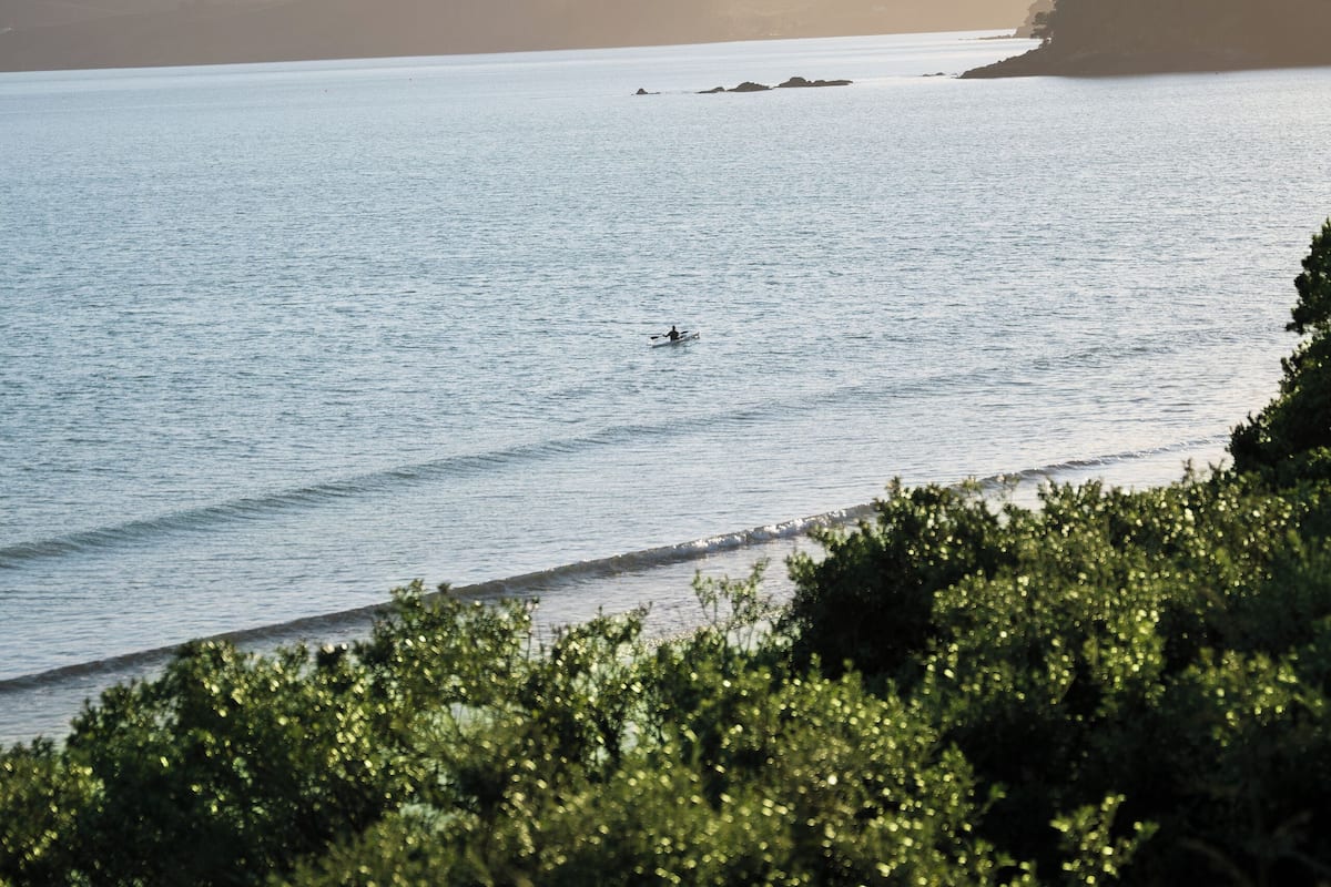 A serene coastal landscape with calm waters, distant hills, and dense greenery in the foreground.
