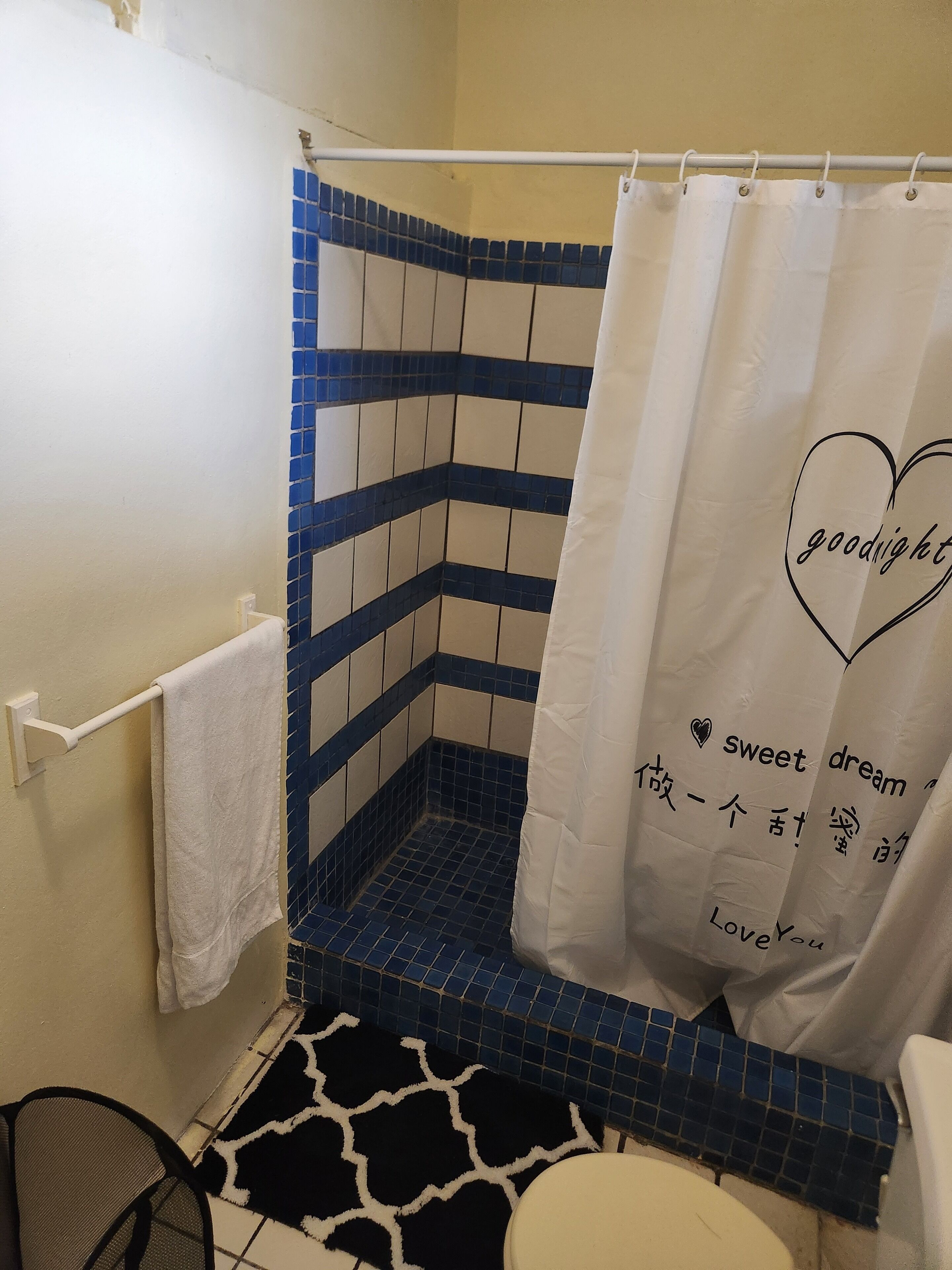 Shower, towels, soap, shampoo