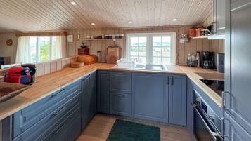 Fridge, oven, stovetop, coffee/tea maker