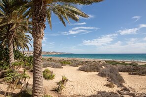 A beach with palm trees, sandy dunes, and a clear blue sky.