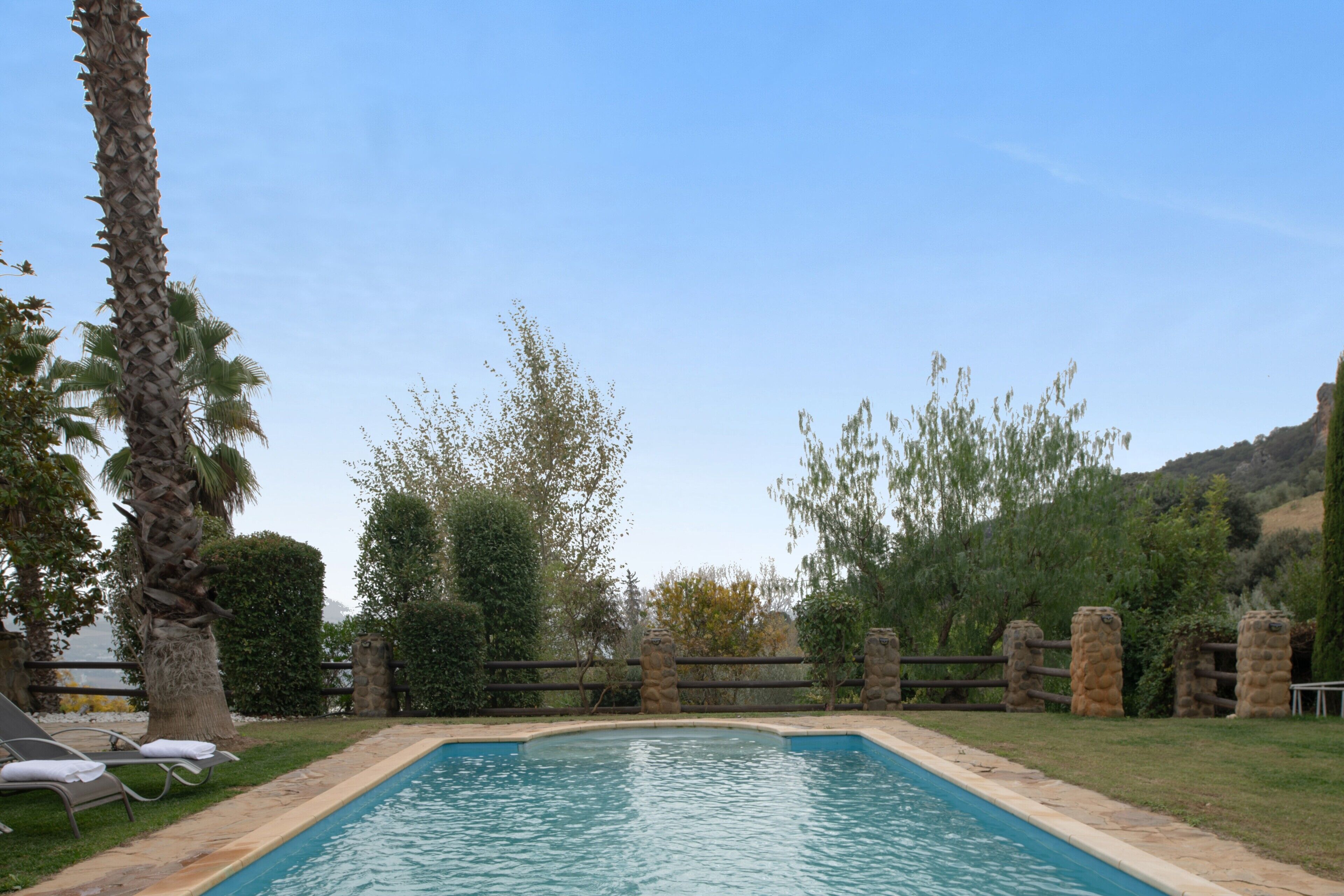 A rectangular swimming pool with a stone border, surrounded by grass and palm trees.