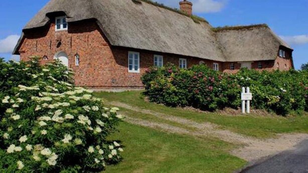 Une maison traditionnelle à toit de chaume, avec des murs en briques, une cheminée bien visible et un petit jardin agrémenté de plantes à fleurs.
