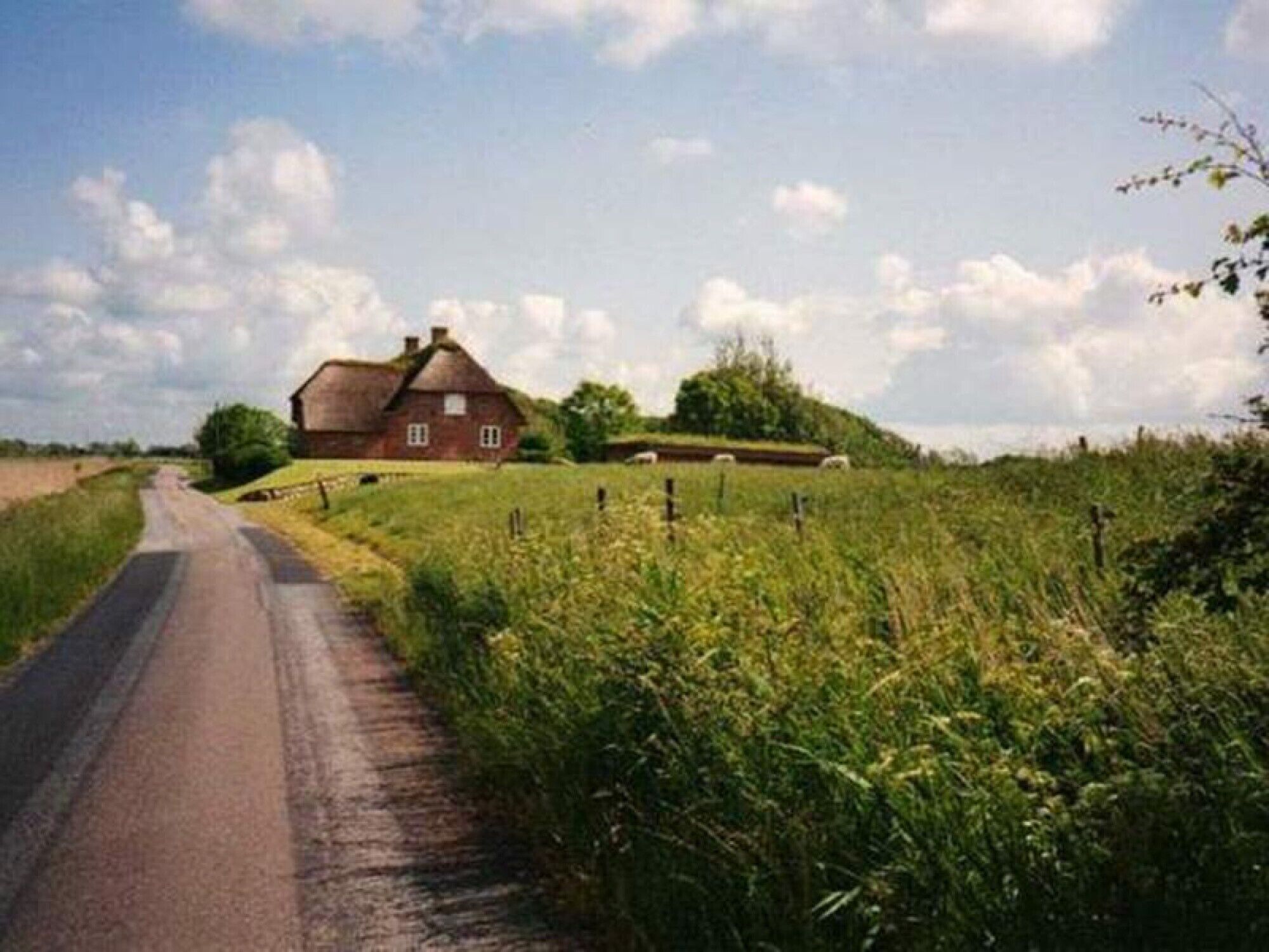 A rural road leading to a traditional red house with a thatched roof, surrounded by fields and a fence.