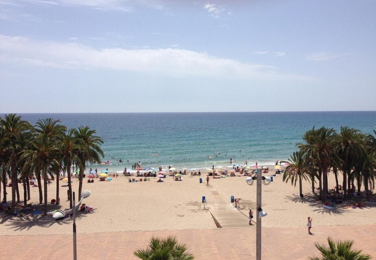 Playa en los alrededores 