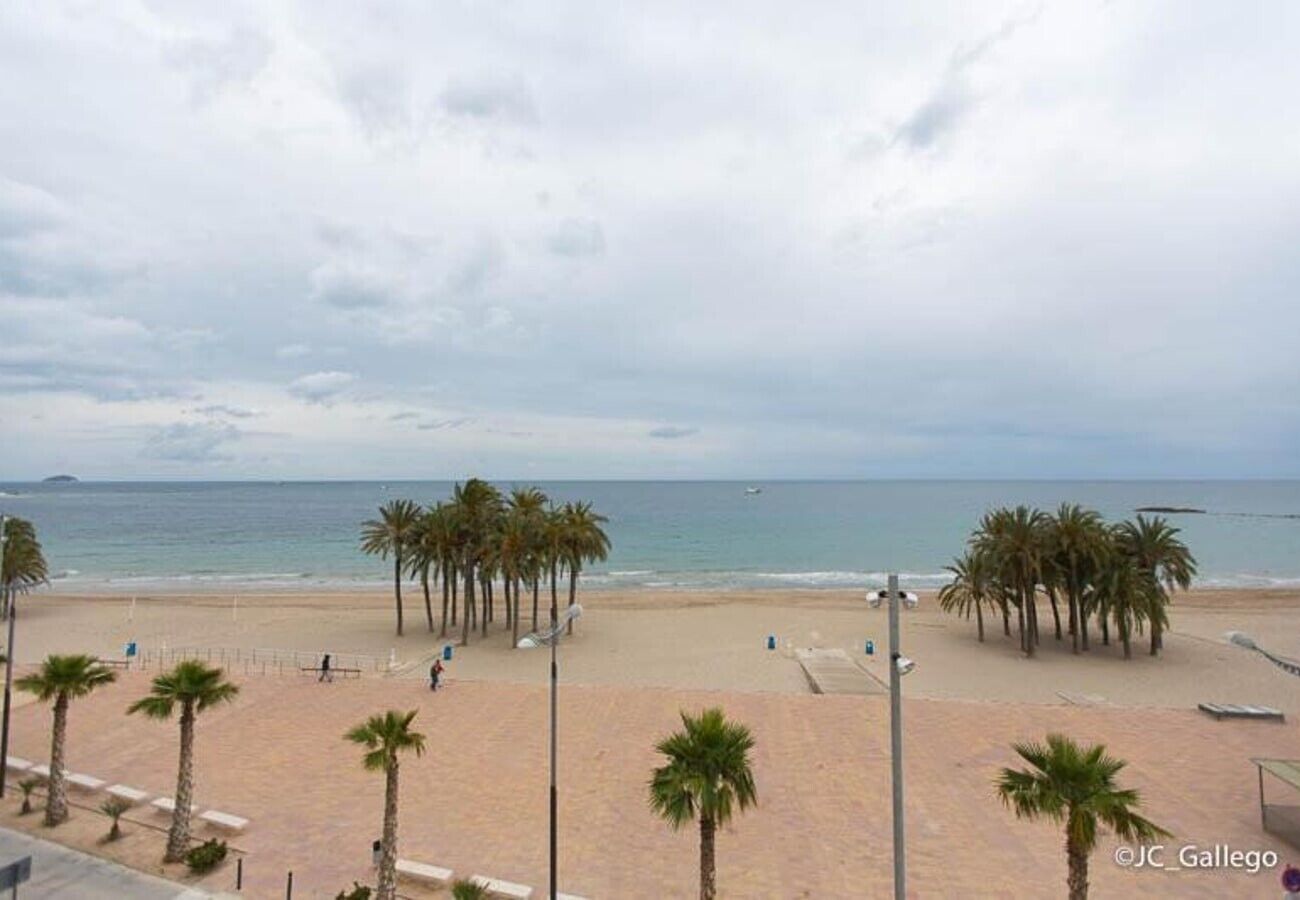 Playa en los alrededores 