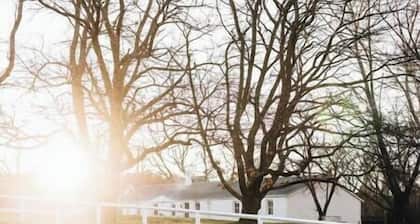 Foxlow Station Luxury Quarters - Historic Farmstay