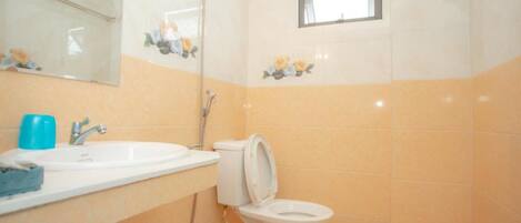 A bathroom with a white sink, a toilet, and a shower.