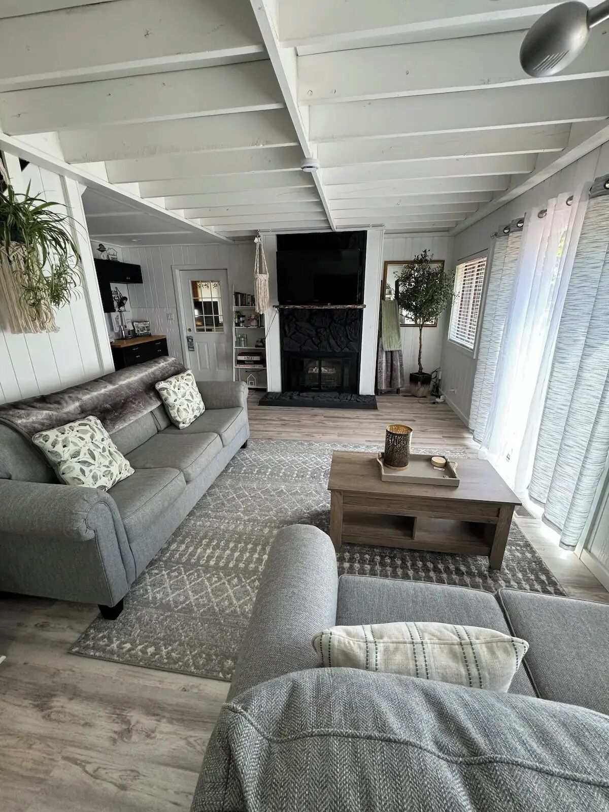 Smart TV, fireplace, books, computer monitors