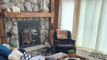 TV connectée, cheminée, livres, chaîne hi-fi