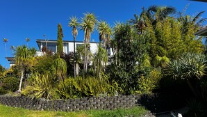 A garden with various plants and a stone wall. - Waiake Beach Apartments (Auckland)