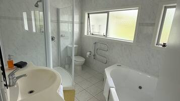A modern bathroom with a glass-enclosed shower, a toilet, a bathtub, and a sink.
