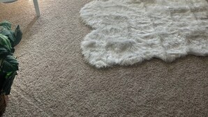Une pièce confortable avec un lit, un canapé, une petite table et un grand tapis moelleux.