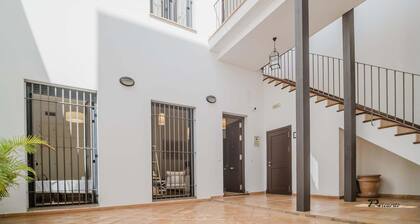 Sibs Sanlucar Fariñas 11