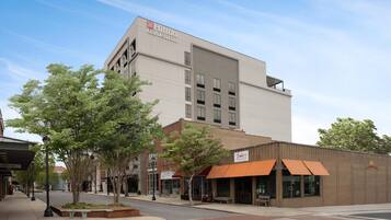 Ein Hilton Garden Inn Hotel mit moderner Fassade, einem Baum-bewachsenen Bürgersteig und Geschäften, darunter eine Galerie und ein Restaurant.