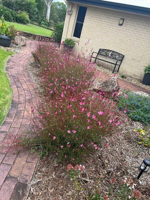 Property grounds - MANDALA Peaceful Country Retreat at Delaneys Creek near Woodford (Delaneys Creek)