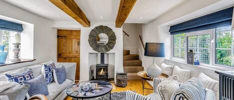 Télévision, cheminée, espaces bureaux