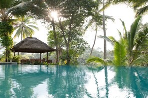 Outdoor pool - Villa Leona Ubud (Ubud)
