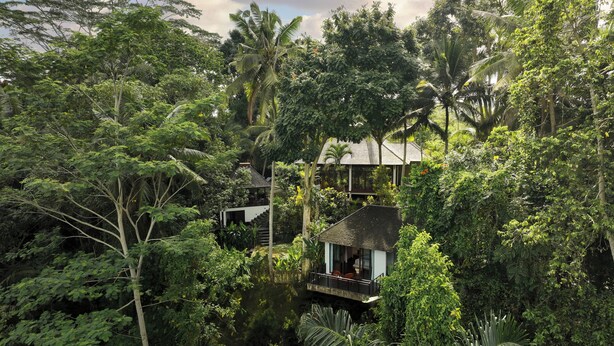 Una casa aislada rodeada de exuberante follaje tropical, con una escalera destacada que lleva a un balcón.
