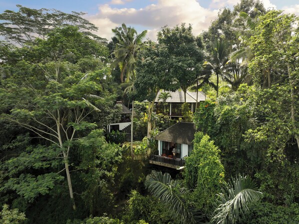 View from property - Villa Leona Suweta Ubud by Nakula (Ubud)