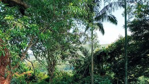 A green metal railing leading to a paved area surrounded by lush greenery and trees. - Pecan Farm Guesthouse (Louis Trichardt)