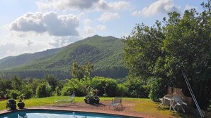 A rectangular swimming pool with a brick border, surrounded by lush greenery and a mountain in the background. - Pecan Farm Guesthouse (Louis Trichardt)