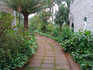 Vườn